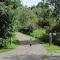 Bike Trail, M.K. Goddard State Park, Pennsylvania