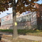 Randolph School