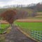 Farm Lane at Blair Brothers Farm