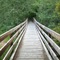 The Bridge to...