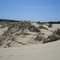 Oregon sand dunes