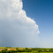 Thunder Clouds near Sioux Falls, South Dakota