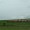 Hay bales off 246th