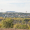 Canadian, TX