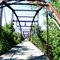 Old Iron Wagon Bridge
