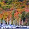 All Masts Point to Fall