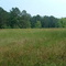 Beans Prairie