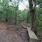 Leaning, but still standing strong: Vintage concrete bench in the Bayou bank wilderness