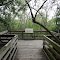 Observation Deck for Bayou wilderness with interpretive poster explaining bayou ecosystem
