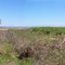 Aransas NWR (panorama; Whooping Crane winter refuge)