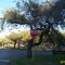 Jct to Goose Island State Park