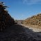 Winter pulpwood inventory for Newpage Wickliffe, KY mill