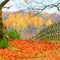 Giles Co. Tennessee