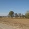 Pill Jerk Road: View to the Northeast