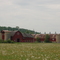 Spring Creek Barns