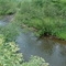 Spring Creek Fishing Hole