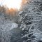 WINTER CREEK ALONG PA Rt. 89 ~7 MILES NORTH OF TITUSVILLE, PA