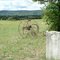 TaylorTown Cemetary