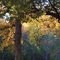Colors of Autumn