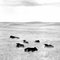 Angus, Sioux County, Nebraska