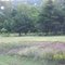 VIEW TO TUSCARORA LANSCAPE,PENNSYLVANIA,USA