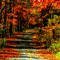 Autumn Peace