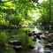 Roxbury Creek