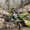 A stream runs thru.