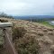 Dan Ingalls lookout