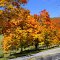 fall '12 in Warm Springs