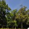 VIRGINIA: MATHEWS COUNTY: BEAVERLETT: Wayland Baptist Church, 215 Ridgefield Road (S.R. 614)  cemetery