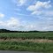 Fields