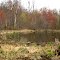 Scothorn Gap Pond