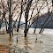 The Shenandoah Overflowing Its Banks
