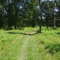 Appalachian Trail in Sky Meadows Park, heading north past the natural gas pipeline