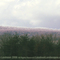 Ridge looking north