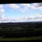 Snickers Gap Tree farm