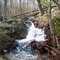 North Ridge Trail at Gap Run - Sky Meadows State Park