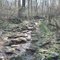 North Ridge Trail Uphill Near Appalachian Trail in Sky Meadows State Park