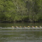 Sweep Rowing on the James RIver, April2008
