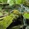 Miller Falls
