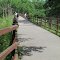 Trail bridge across Oil Creek, Oil Creek State Park, Pennsylvania
