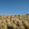 ancient lakes grassy knoll