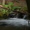 Rushing Creek