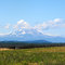 Mt Adams