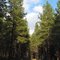 Horseshoe Bend Rd