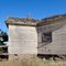 Pine Forest School
