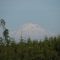 Mount Rainier