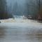 Skokomish River flooding on U.S. Highway 101, December 3, 2007