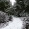 Newberry Hill Heritage Park after Snowfall